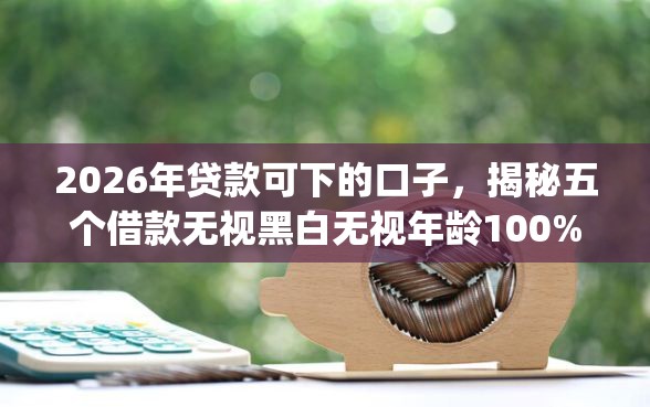2026年贷款可下的口子，揭秘五个借款无视黑白无视年龄100%秒过app