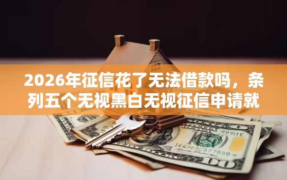 2026年征信花了无法借款吗，条列五个无视黑白无视征信申请就下款的平台