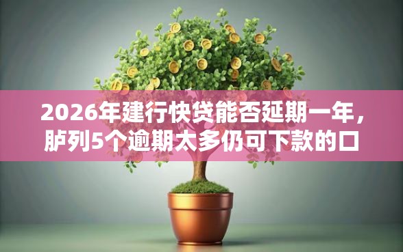 2026年建行快贷能否延期一年，胪列5个逾期太多仍可下款的口子