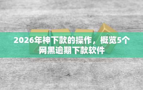 2026年神下款的操作，概览5个网黑逾期下款软件