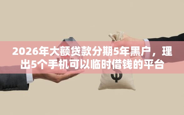 2026年大额贷款分期5年黑户，理出5个手机可以临时借钱的平台