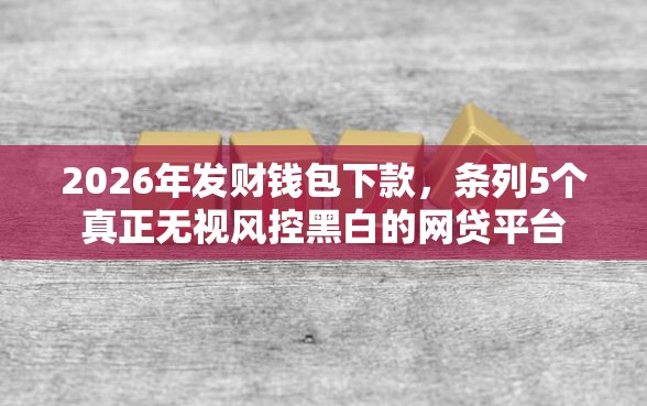 2026年发财钱包下款，条列5个真正无视风控黑白的网贷平台