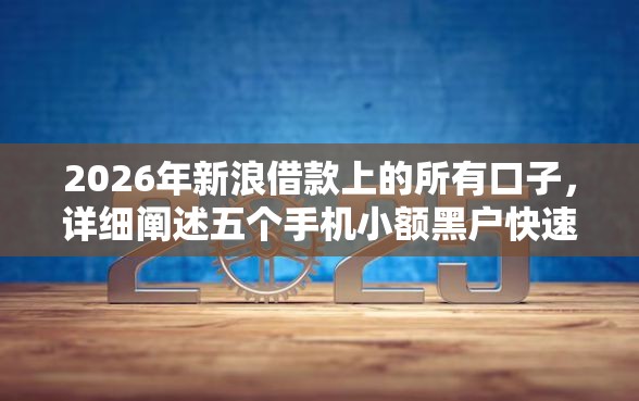 2026年新浪借款上的所有口子，详细阐述五个手机小额黑户快速贷款平台