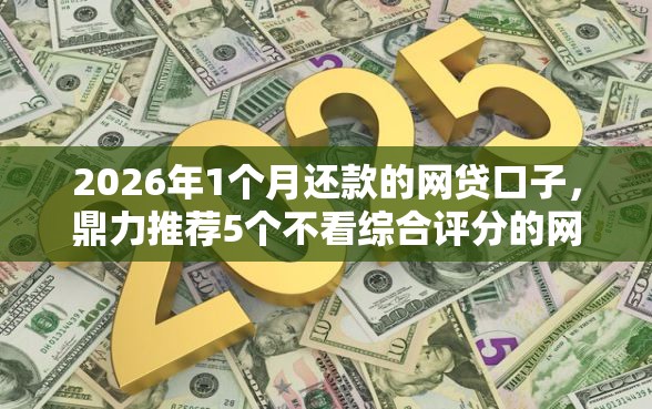 2026年1个月还款的网贷口子，鼎力推荐5个不看综合评分的网贷