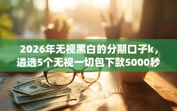 2026年无视黑白的分期口子k，遴选5个无视一切包下款5000秒下款的app