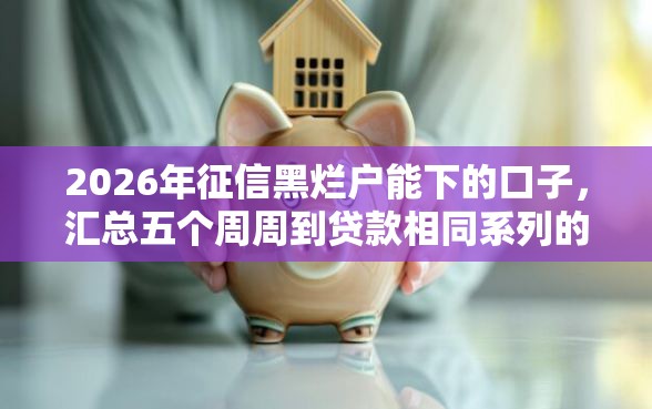 2026年征信黑烂户能下的口子，汇总五个周周到贷款相同系列的软件