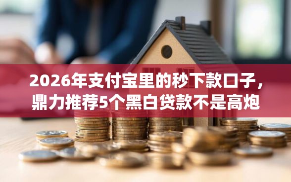 2026年支付宝里的秒下款口子，鼎力推荐5个黑白贷款不是高炮的app