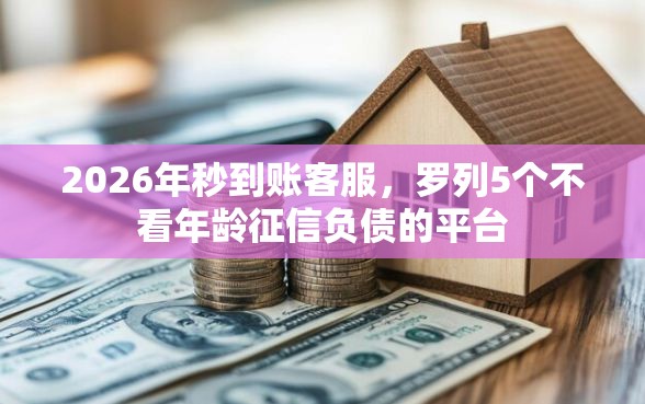 2026年秒到账客服，罗列5个不看年龄征信负债的平台