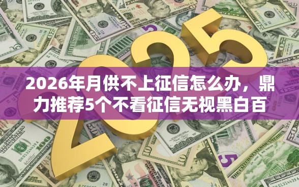 2026年月供不上征信怎么办,鼎力推荐5个不看征信无视黑白百分百下款网贷平台 2026年月供不上征信怎么办,鼎力推荐5个不看征信无视黑白百分百下款网贷平台