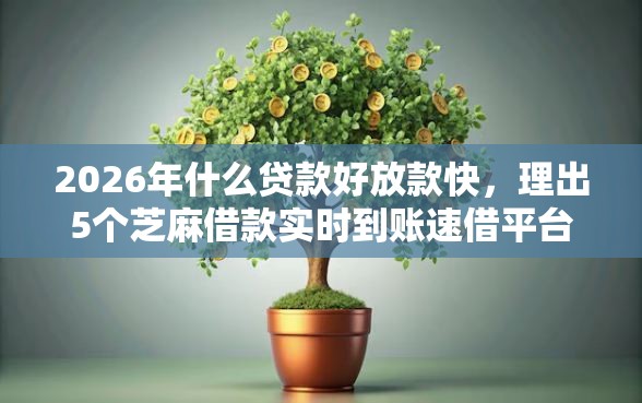 2026年什么贷款好放款快，理出5个芝麻借款实时到账速借平台