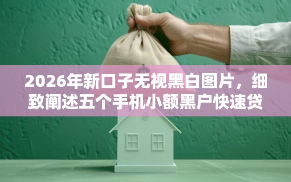 2026年新口子无视黑白图片，细致阐述五个手机小额黑户快速贷款平台