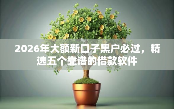 2026年大额新口子黑户必过，精选五个靠谱的借款软件