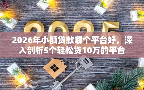 2026年小额贷款哪个平台好，深入剖析5个轻松贷10万的平台