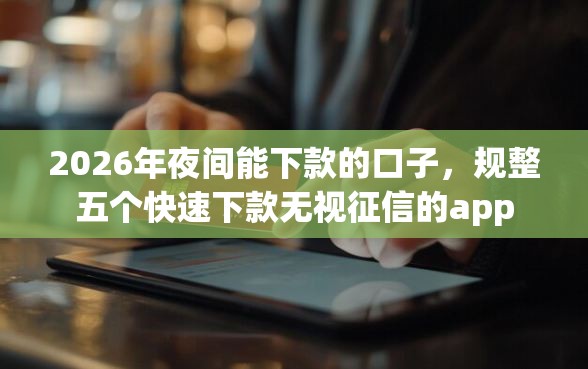 2026年夜间能下款的口子，规整五个快速下款无视征信的app
