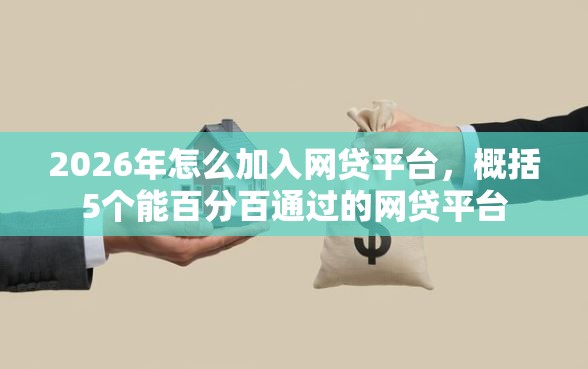 2026年怎么加入网贷平台，概括5个能百分百通过的网贷平台