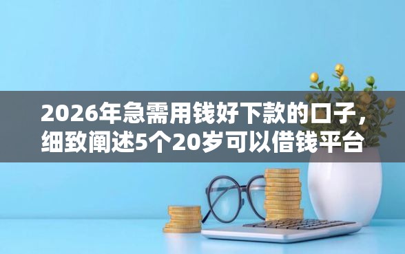 2026年急需用钱好下款的口子，细致阐述5个20岁可以借钱平台不查征信的平台