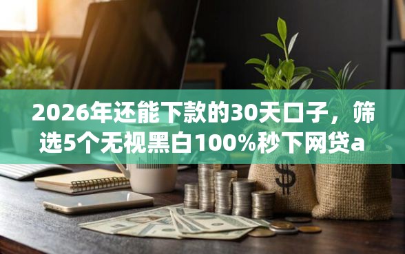 2026年还能下款的30天口子，筛选5个无视黑白100%秒下网贷app