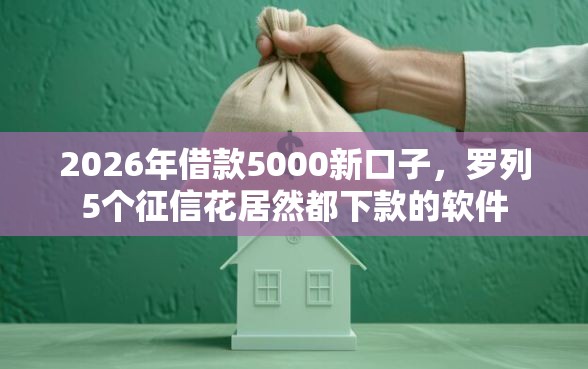 2026年借款5000新口子，罗列5个征信花居然都下款的软件
