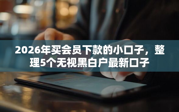 2026年买会员下款的小口子，整理5个无视黑白户最新口子