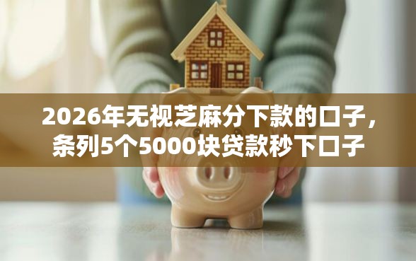 2026年无视芝麻分下款的口子，条列5个5000块贷款秒下口子