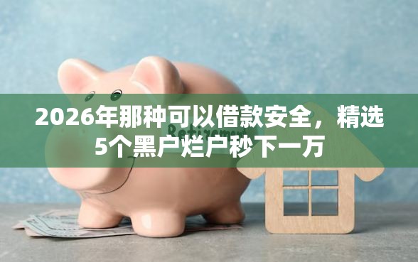 2026年那种可以借款安全,精选5个黑户烂户秒下一万 2026年那种可以借款安全,精选5个黑户烂户秒下一万