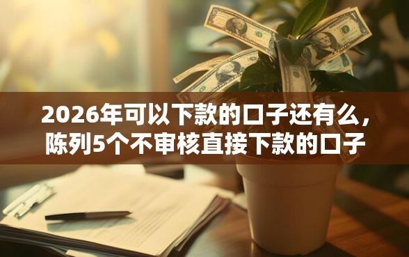 2026年可以下款的口子还有么，陈列5个不审核直接下款的口子