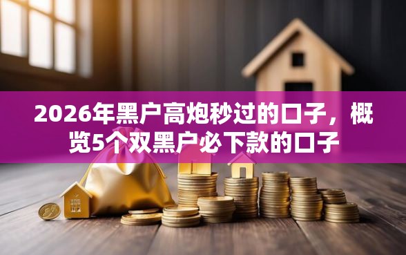 2026年黑户高炮秒过的口子，概览5个双黑户必下款的口子