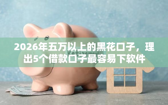 2026年五万以上的黑花口子，理出5个借款口子最容易下软件