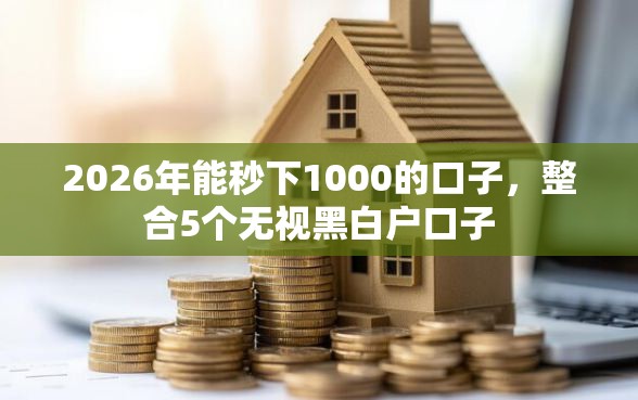 2026年能秒下1000的口子，整合5个无视黑白户口子