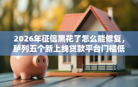 2026年征信黑花了怎么能修复，胪列五个新上线贷款平台门槛低平台