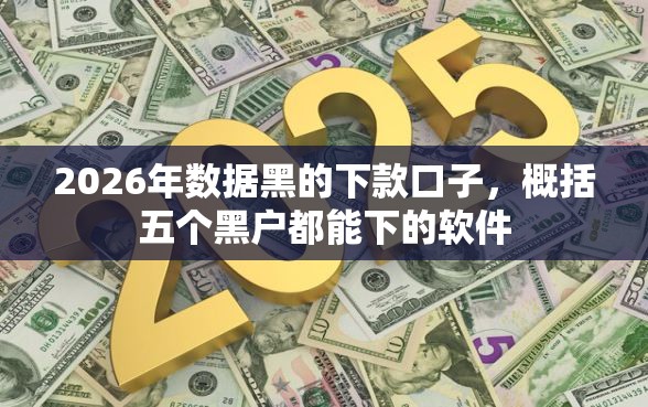 2026年数据黑的下款口子，概括五个黑户都能下的软件