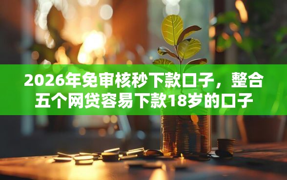 2026年免审核秒下款口子，整合五个网贷容易下款18岁的口子