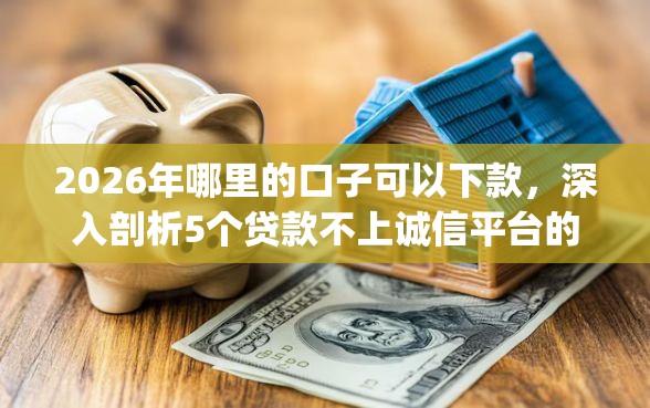 2026年哪里的口子可以下款，深入剖析5个贷款不上诚信平台的app