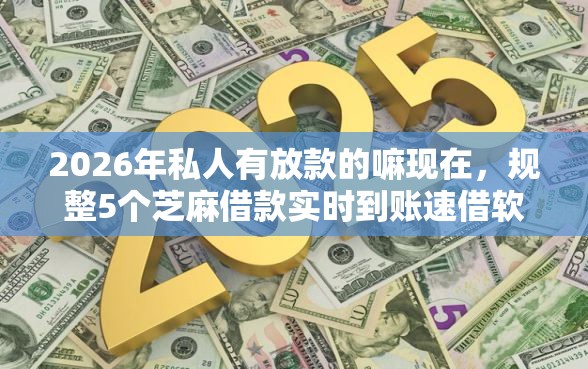 2026年私人有放款的嘛现在，规整5个芝麻借款实时到账速借软件