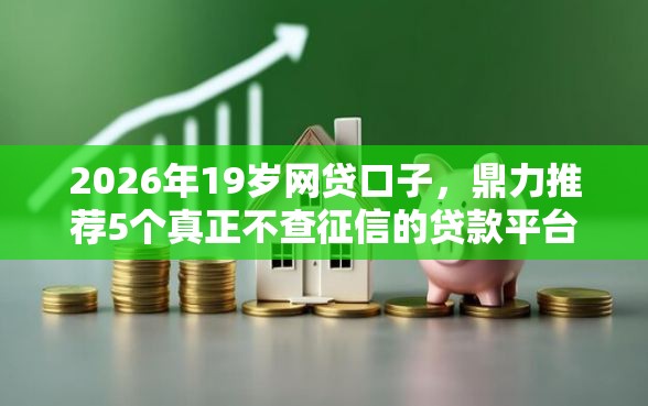 2026年19岁网贷口子，鼎力推荐5个真正不查征信的贷款平台