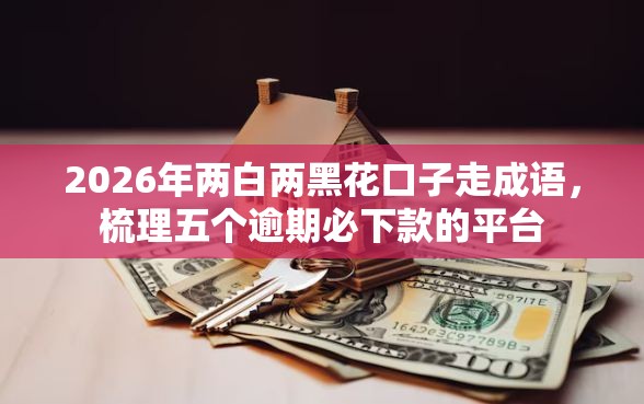 2026年两白两黑花口子走成语，梳理五个逾期必下款的平台