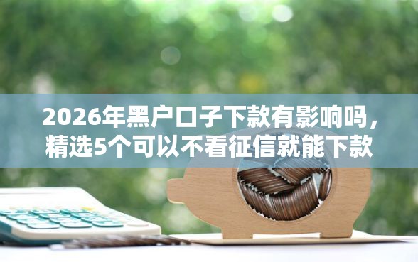 2026年黑户口子下款有影响吗，精选5个可以不看征信就能下款的平台