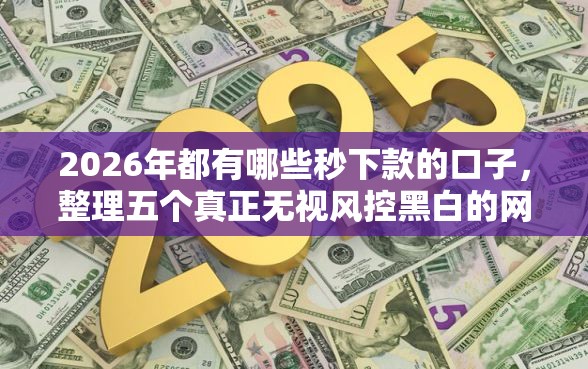 2026年都有哪些秒下款的口子，整理五个真正无视风控黑白的网贷口子