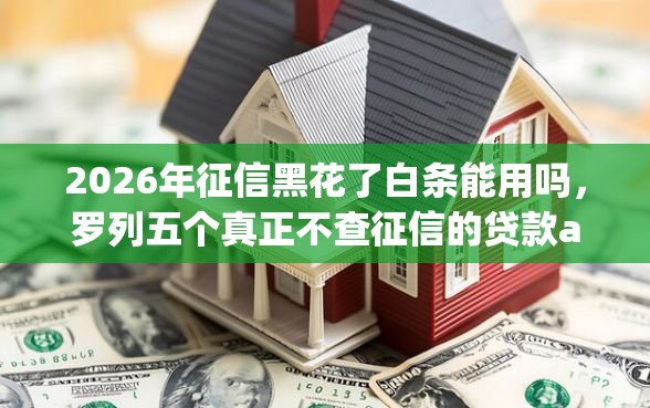 2026年征信黑花了白条能用吗，罗列五个真正不查征信的贷款app
