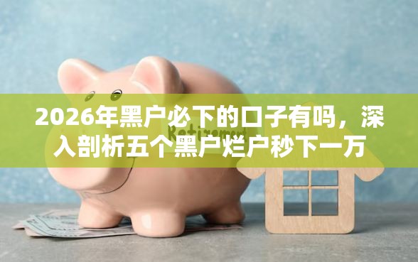 2026年黑户必下的口子有吗，深入剖析五个黑户烂户秒下一万
