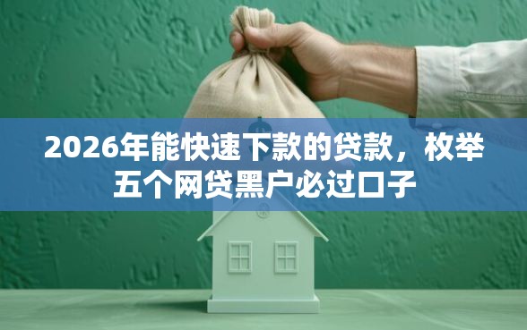 2026年能快速下款的贷款，枚举五个网贷黑户必过口子