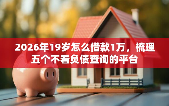 2026年19岁怎么借款1万，梳理五个不看负债查询的平台