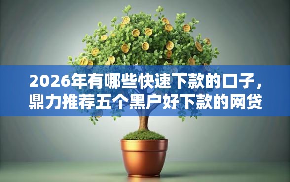 2026年有哪些快速下款的口子，鼎力推荐五个黑户好下款的网贷口子