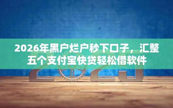 2026年黑户烂户秒下口子，汇整五个支付宝快贷轻松借软件