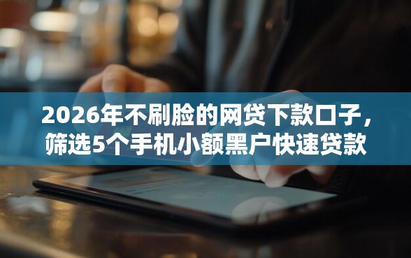2026年不刷脸的网贷下款口子，筛选5个手机小额黑户快速贷款平台