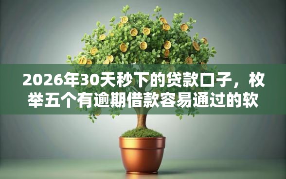 2026年30天秒下的贷款口子，枚举五个有逾期借款容易通过的软件