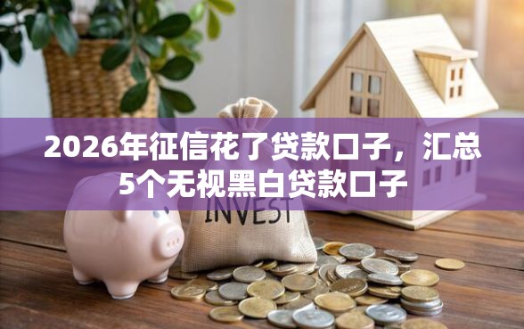 2026年征信花了贷款口子，汇总5个无视黑白贷款口子