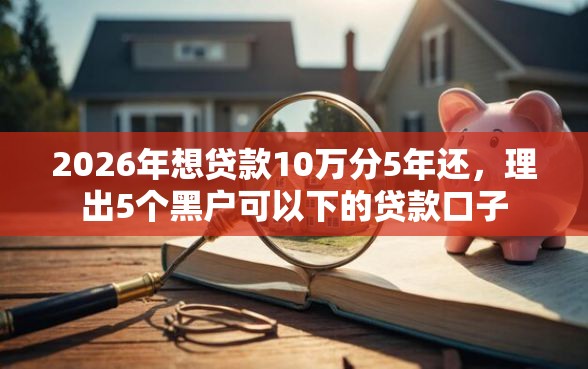 2026年想贷款10万分5年还，理出5个黑户可以下的贷款口子