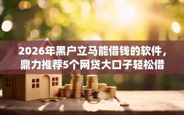 2026年黑户立马能借钱的软件，鼎力推荐5个网贷大口子轻松借app