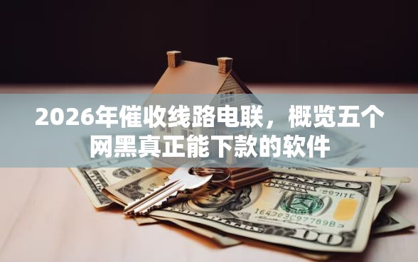 2026年催收线路电联，概览五个网黑真正能下款的软件